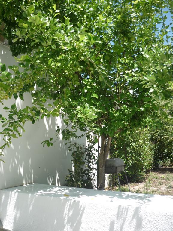הוילה Góis Casa Da Terra חדר תמונה
