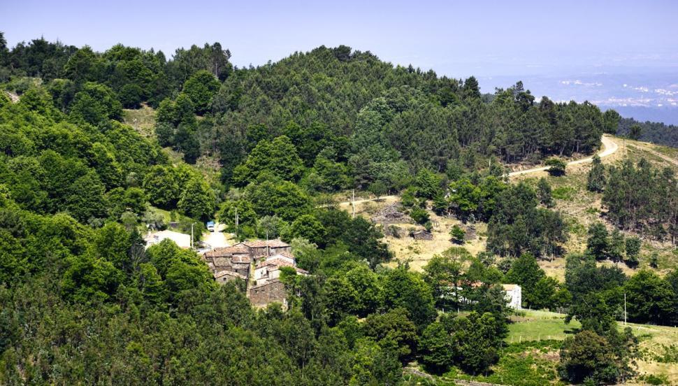 הוילה Góis Casa Da Terra מראה חיצוני תמונה
